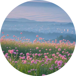 vnhr